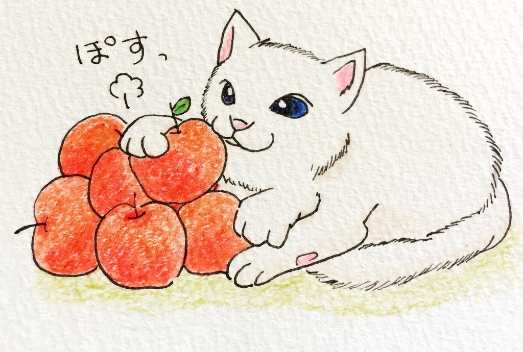 f:id:anecyan:20190202110834j:plain f:id:anecyan:20190202110834j:plain