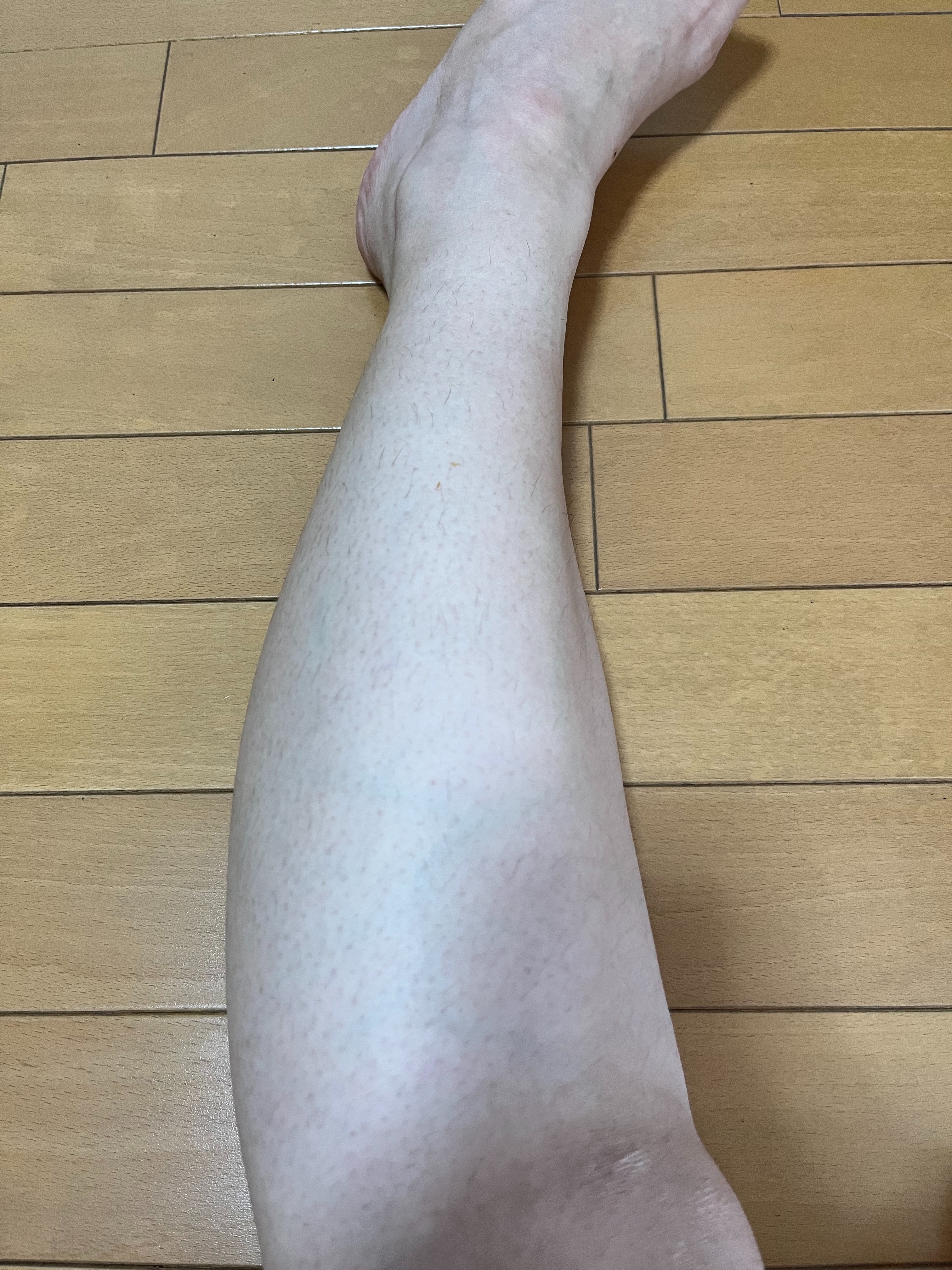 f:id:anekineko1016:20231009164152j:image