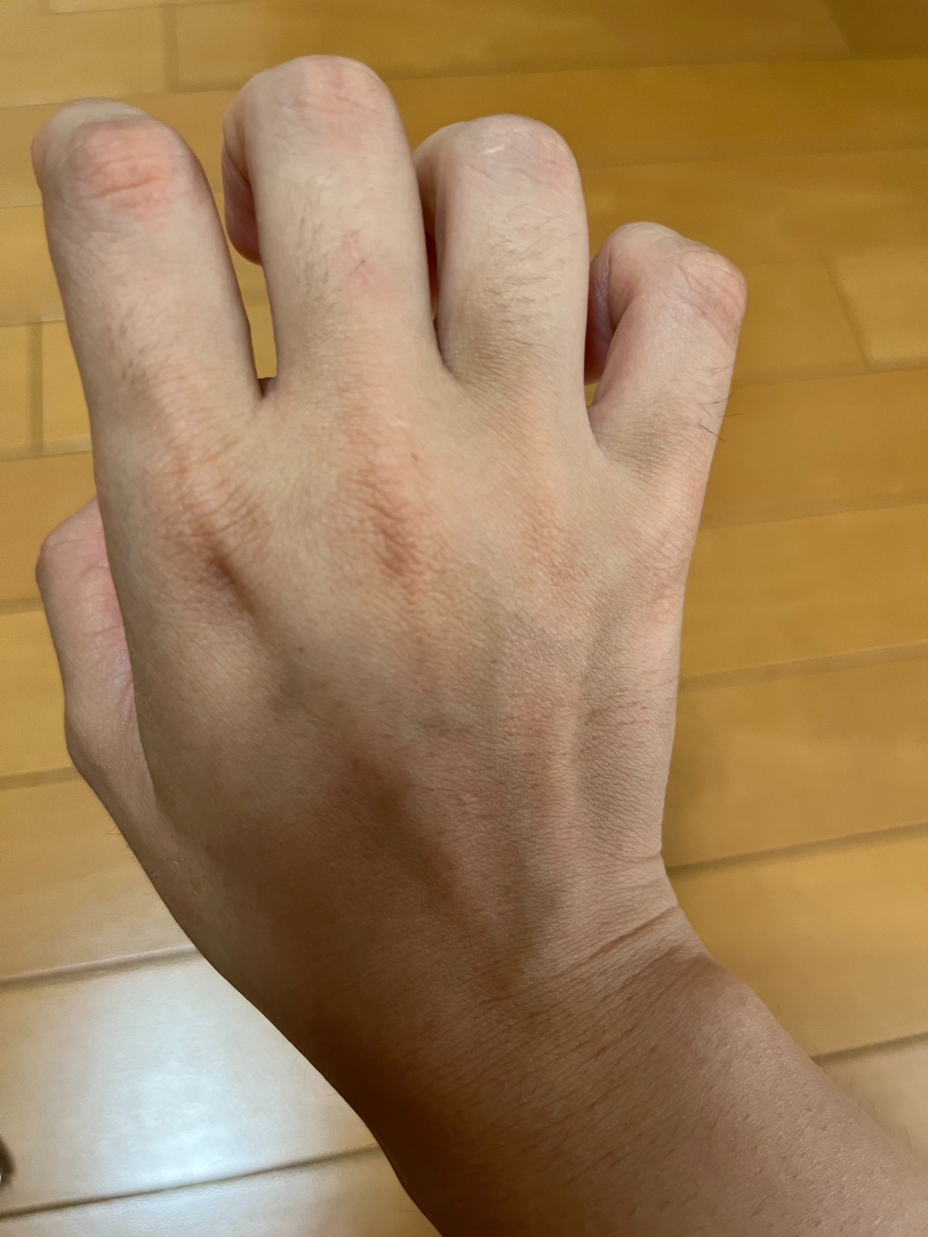f:id:anekineko1016:20231009164159j:image