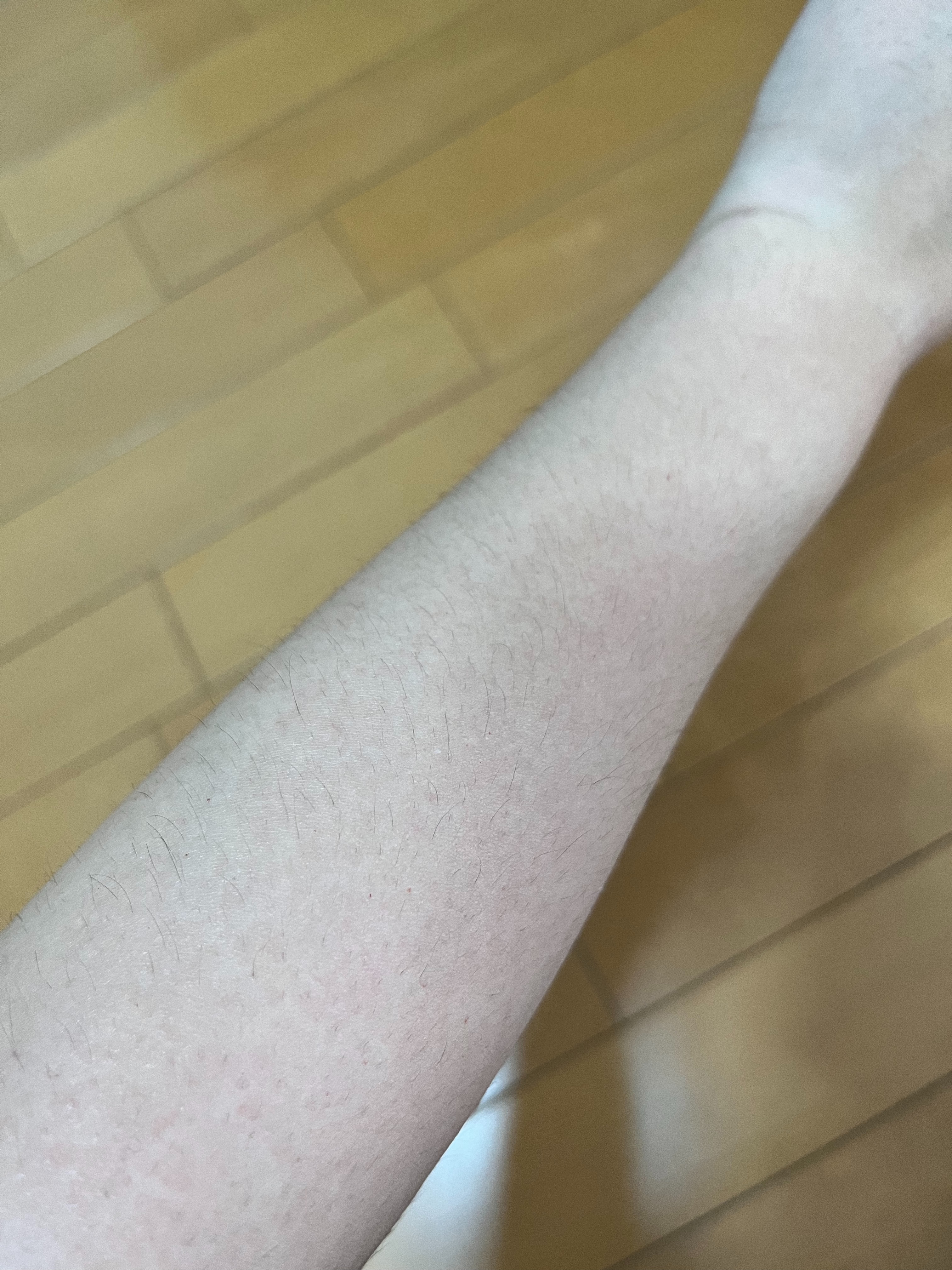 f:id:anekineko1016:20231009164207j:image