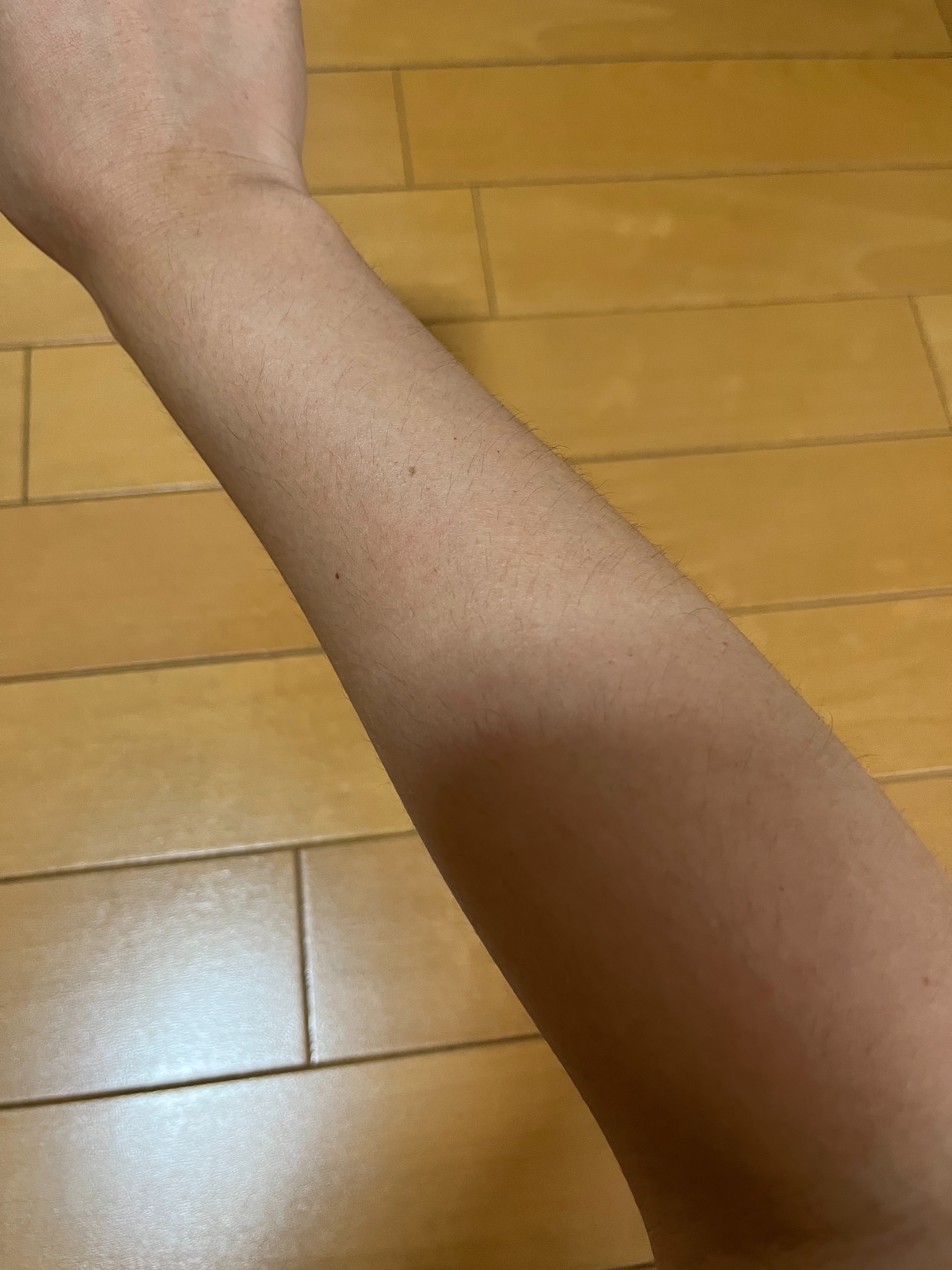 f:id:anekineko1016:20231009164214j:image