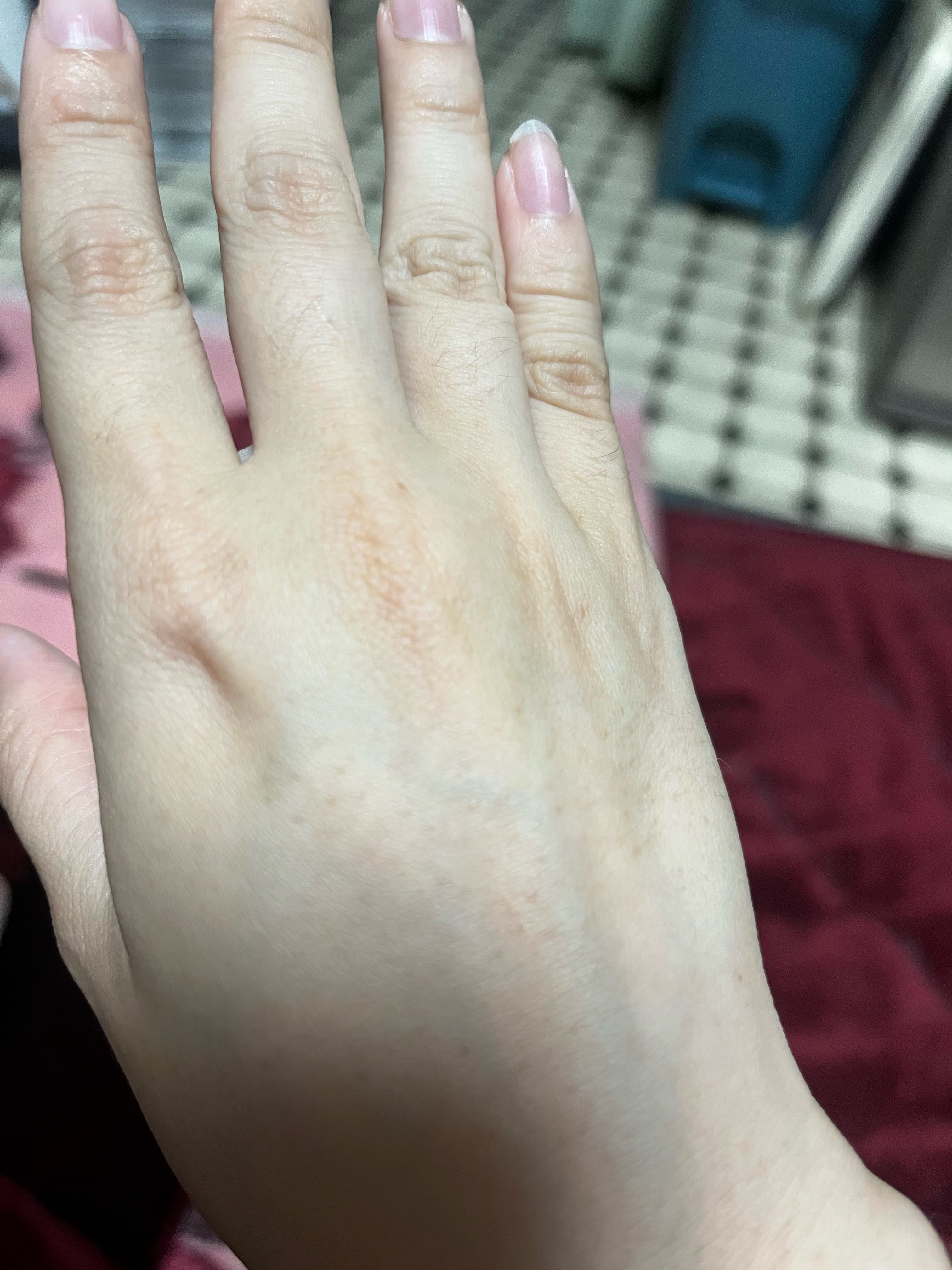 f:id:anekineko1016:20240626170458j:image