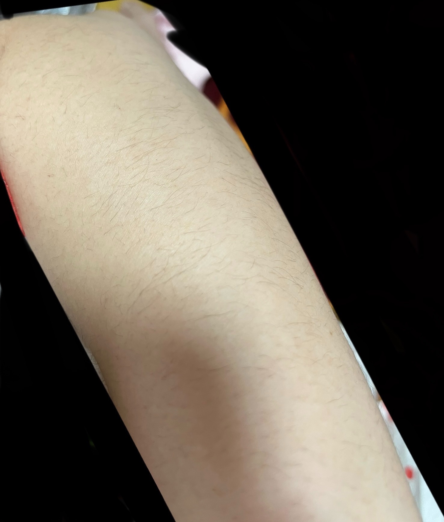 f:id:anekineko1016:20240626173452j:image