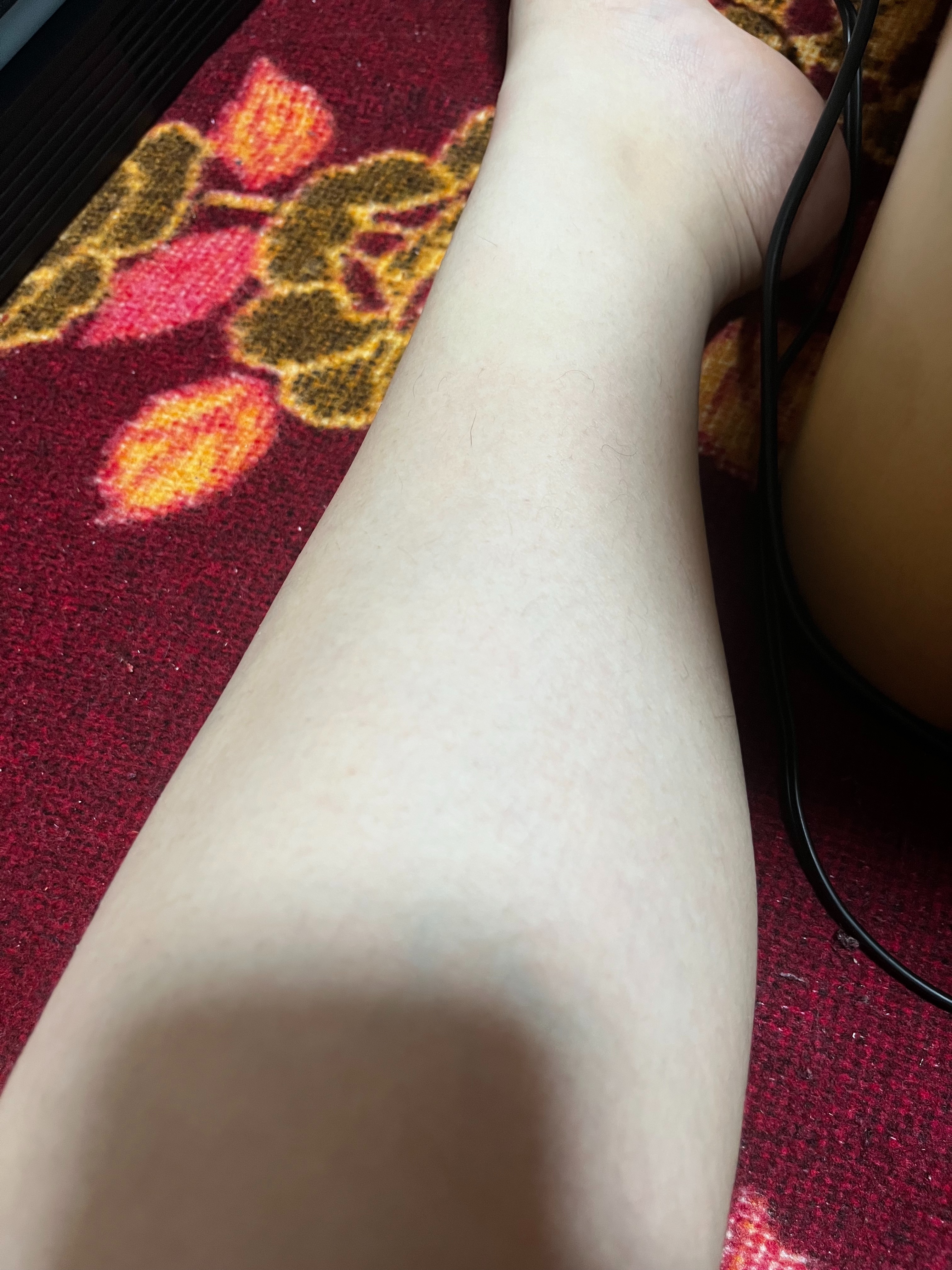 f:id:anekineko1016:20240626173511j:image