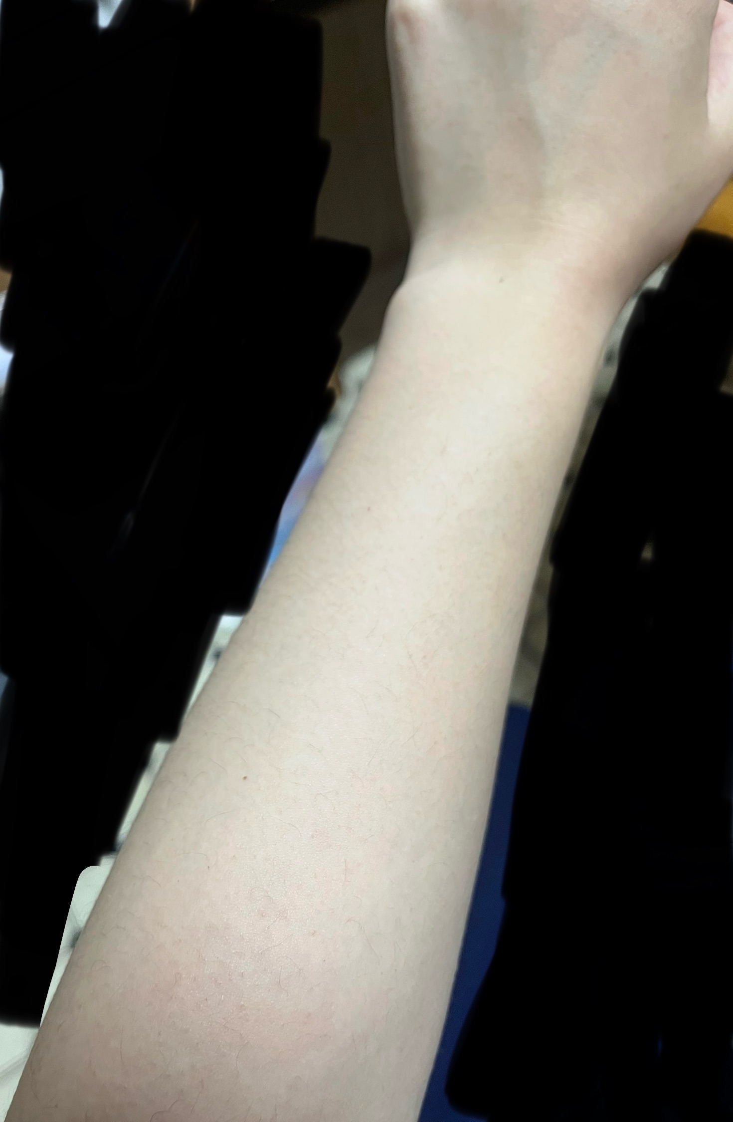 f:id:anekineko1016:20241231043359j:image