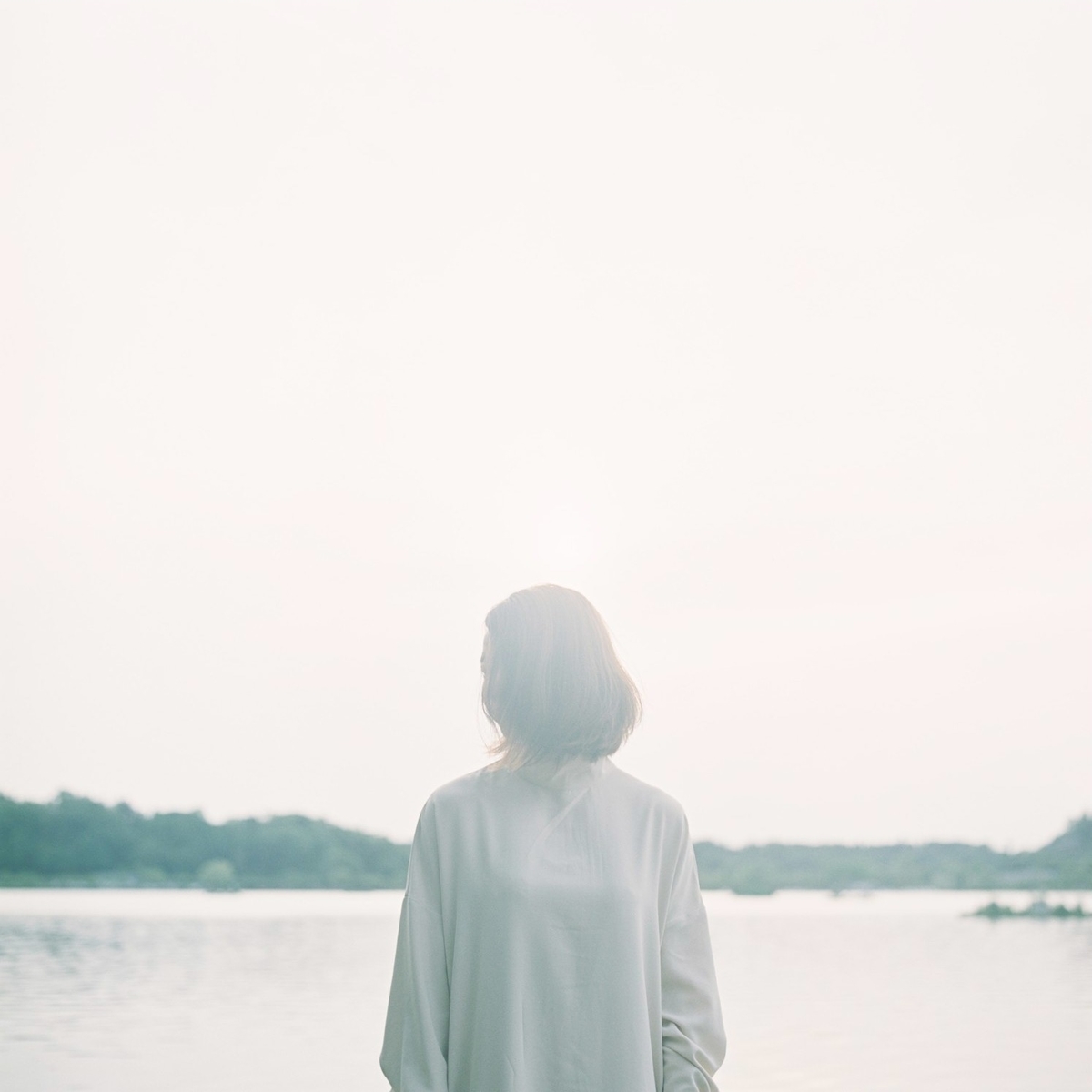 f:id:anemone-kaori:20200701161758j:plain f:id:anemone-kaori:20200701161758j:plain