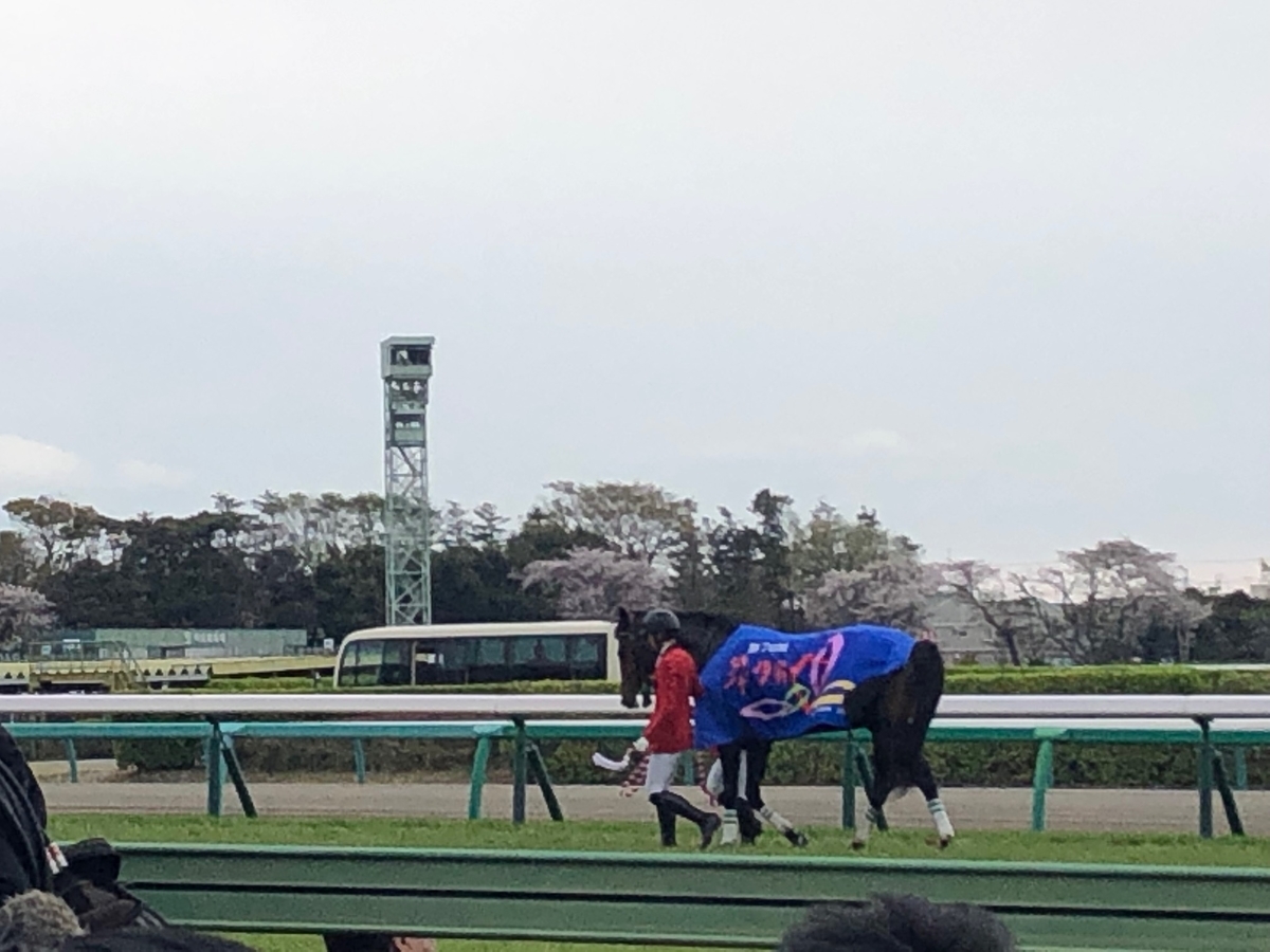 f:id:anemone64:20190414203822j:plain