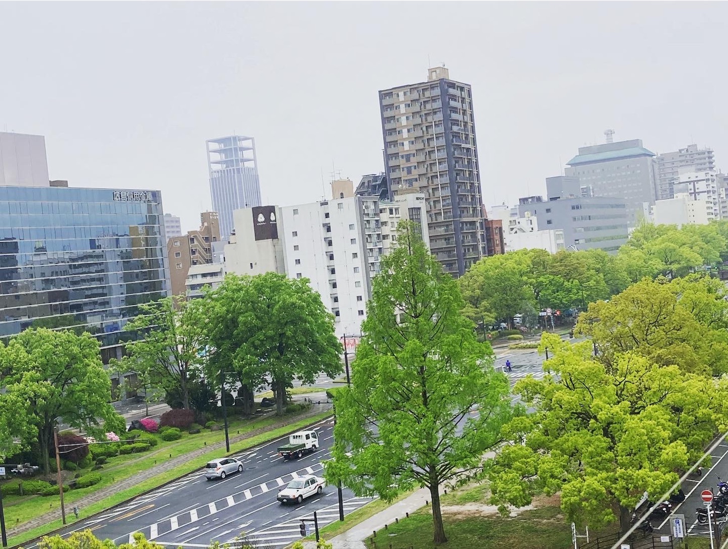 f:id:anemone950:20220424213540j:image f:id:anemone950:20220424213540j:image