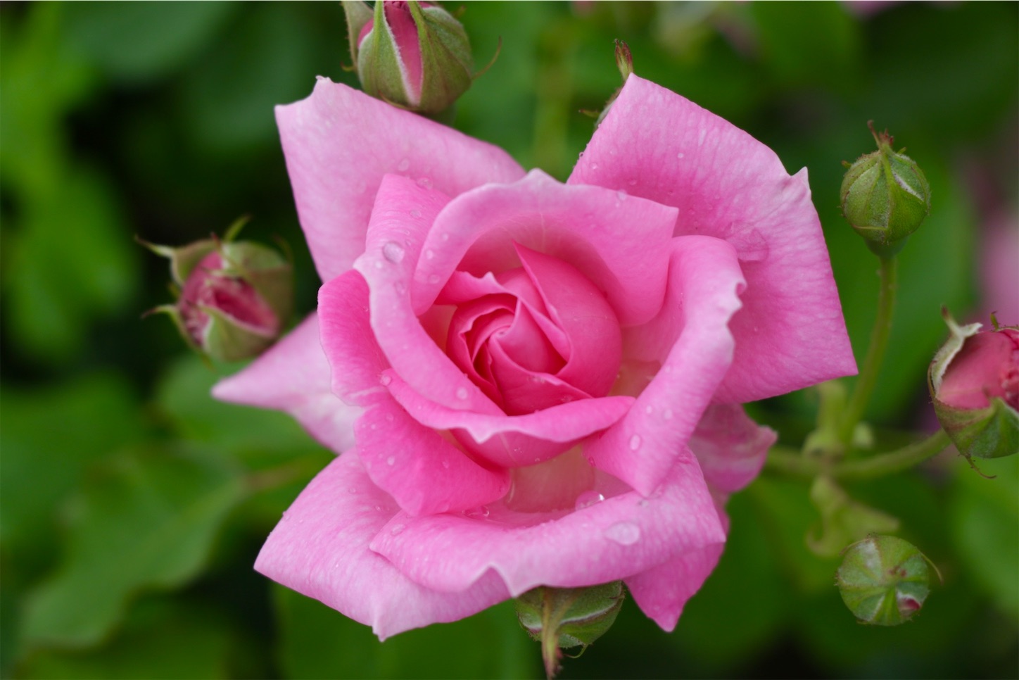 f:id:anemone950:20220514214537j:image f:id:anemone950:20220514214537j:image