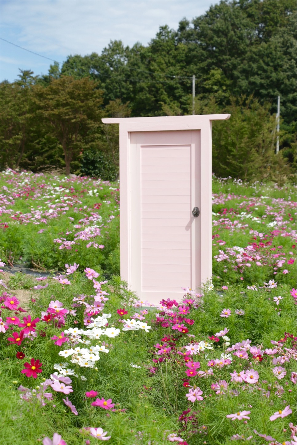 f:id:anemone950:20220926203119j:image f:id:anemone950:20220926203119j:image