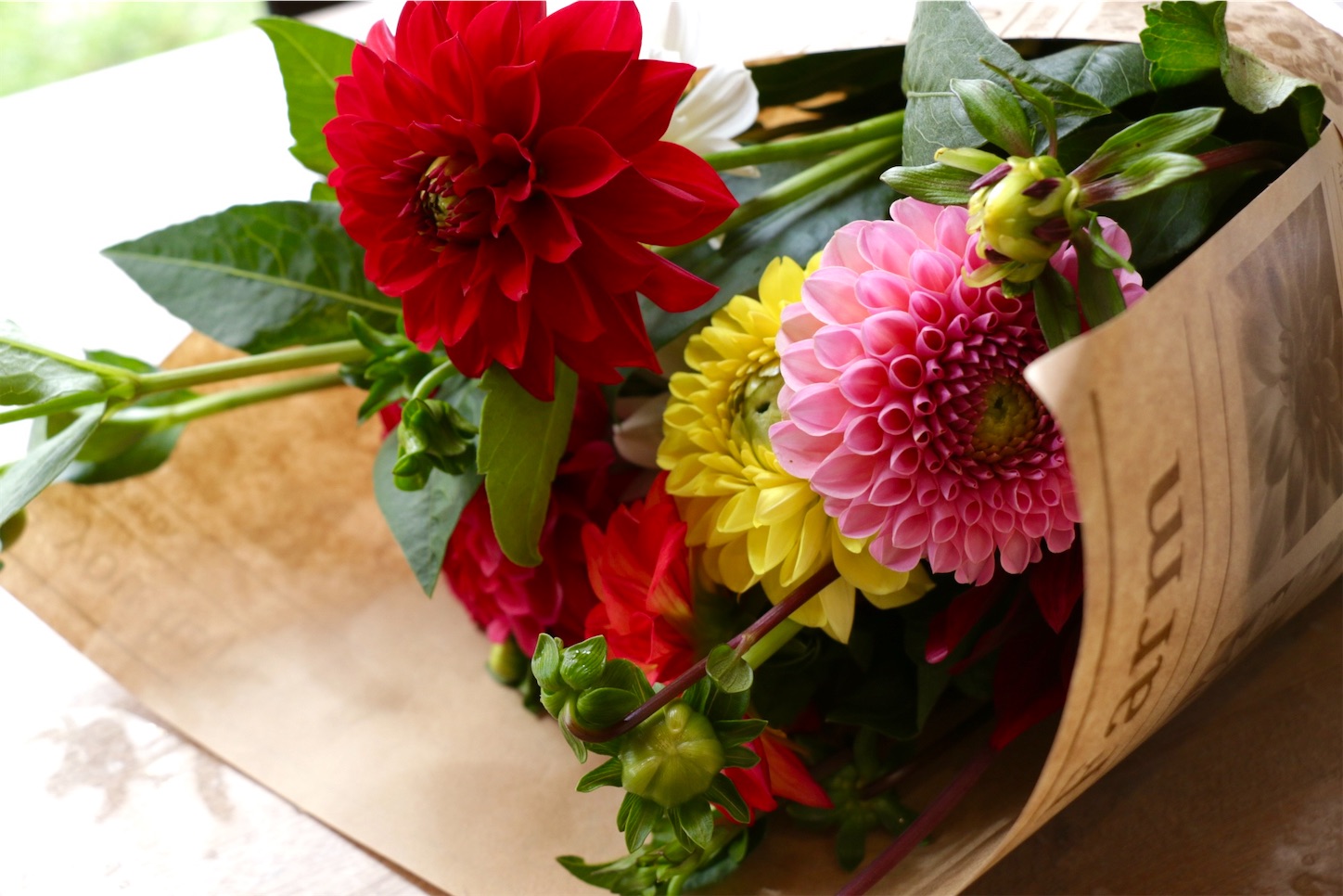 f:id:anemone950:20220926203129j:image f:id:anemone950:20220926203129j:image