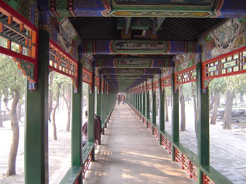 f:id:anemone_feb:20041103055108j:plain