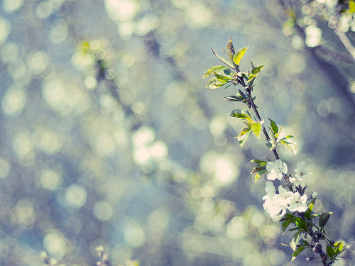 f:id:anemone_feb:20140530223015j:plain