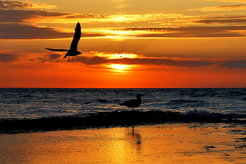 f:id:anemone_feb:20140623210303j:plain f:id:anemone_feb:20140623210303j:plain