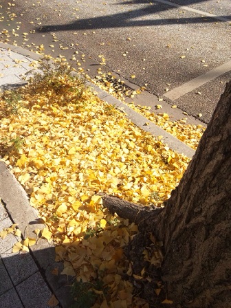 f:id:anemone_feb:20141206124022j:plain