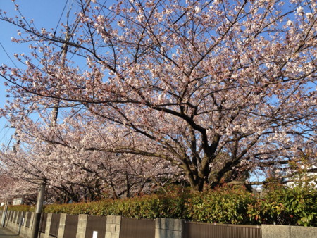 f:id:anezakiman:20120408065902j:image f:id:anezakiman:20120408065902j:image