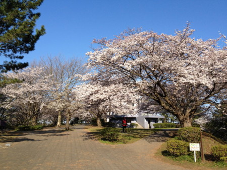f:id:anezakiman:20120408072743j:image f:id:anezakiman:20120408072743j:image