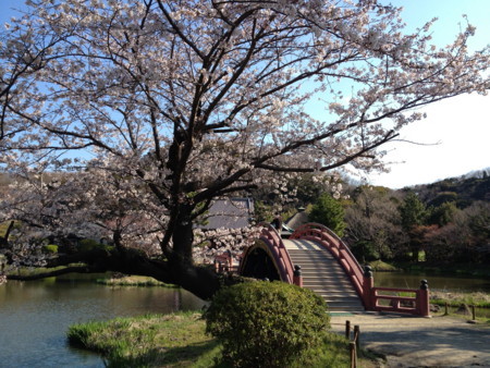 f:id:anezakiman:20120408081218j:image f:id:anezakiman:20120408081218j:image