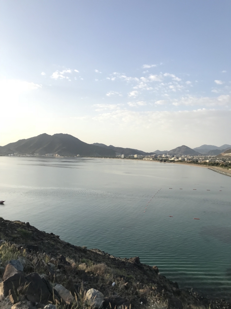 f:id:anezakimanAD:20180304022526j:plain