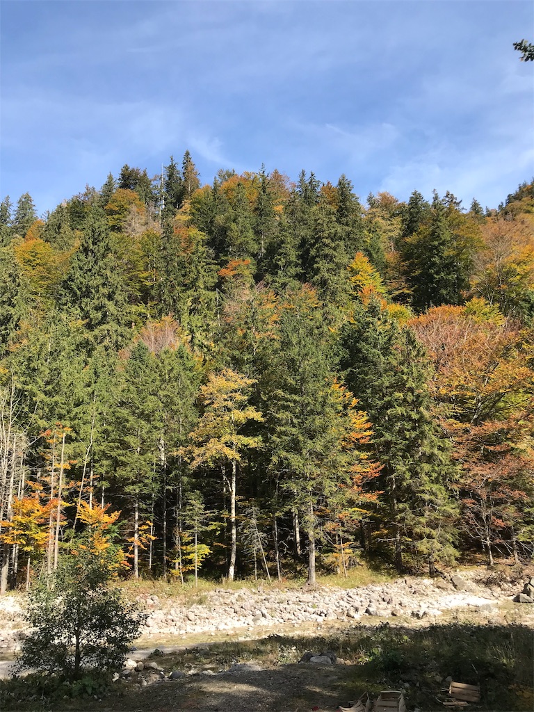 f:id:anezakimanAD:20181010032056j:image f:id:anezakimanAD:20181010032056j:image
