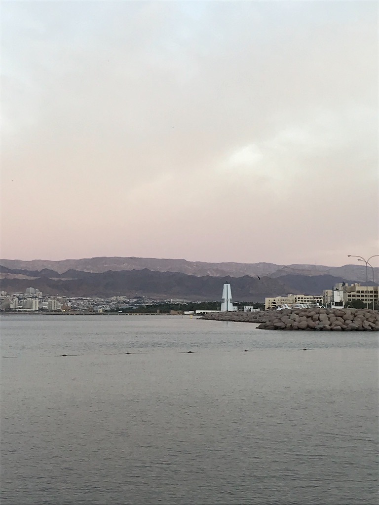 f:id:anezakimanAD:20181205052008j:image