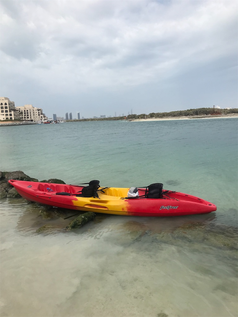 f:id:anezakimanAD:20190316134054j:image