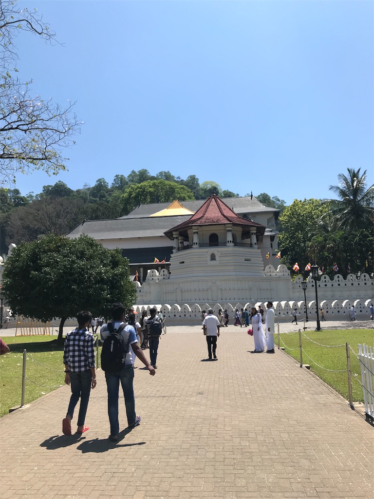 f:id:anezakimanAD:20190404021052j:image f:id:anezakimanAD:20190404021052j:image