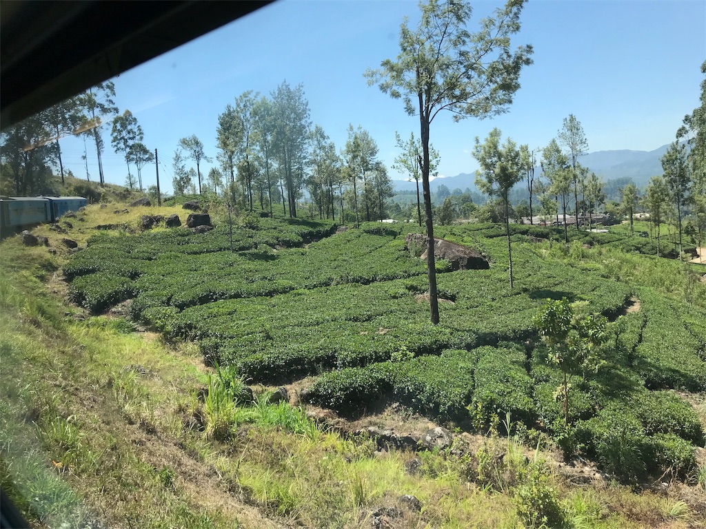 f:id:anezakimanAD:20190404023416j:image f:id:anezakimanAD:20190404023416j:image