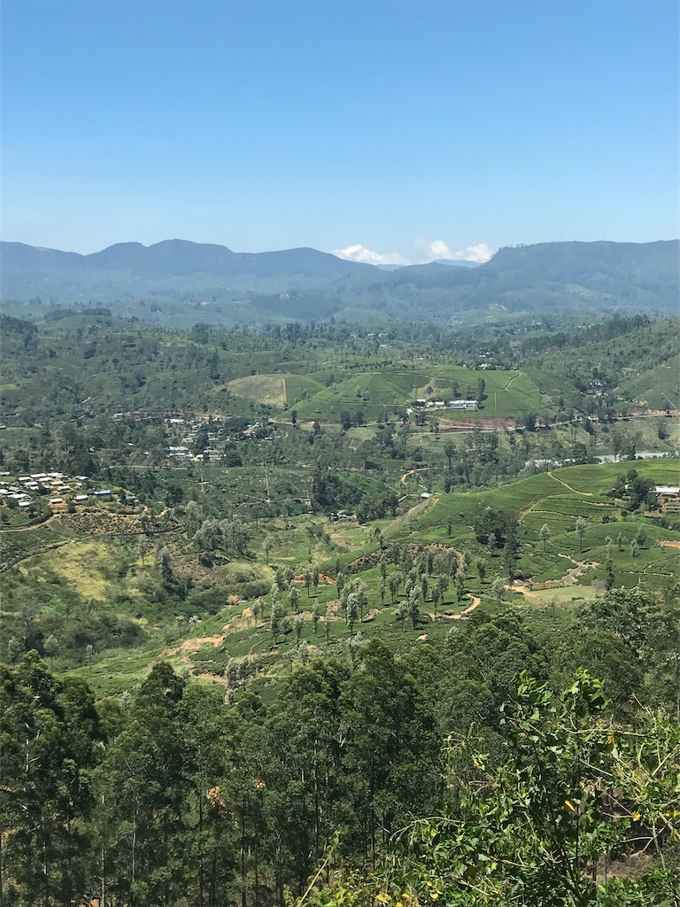 f:id:anezakimanAD:20190404025036j:image f:id:anezakimanAD:20190404025036j:image