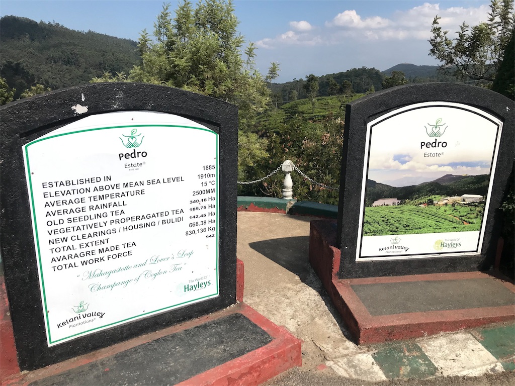 f:id:anezakimanAD:20190404025042j:image f:id:anezakimanAD:20190404025042j:image