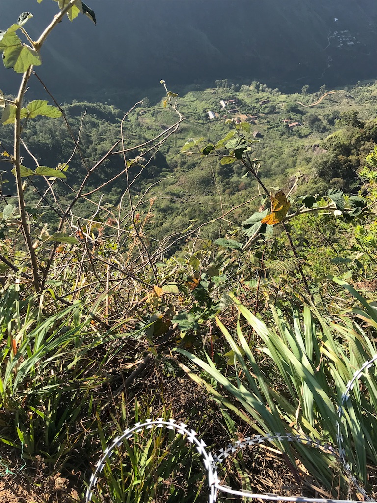 f:id:anezakimanAD:20190404025758j:image f:id:anezakimanAD:20190404025758j:image