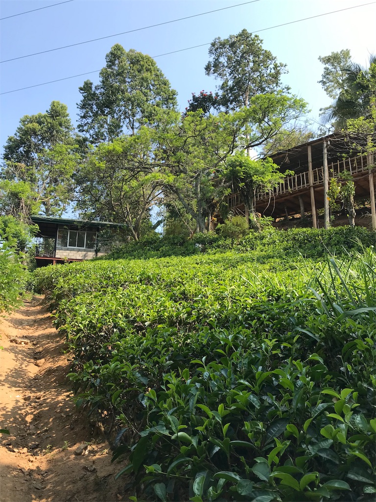 f:id:anezakimanAD:20190404025856j:image f:id:anezakimanAD:20190404025856j:image