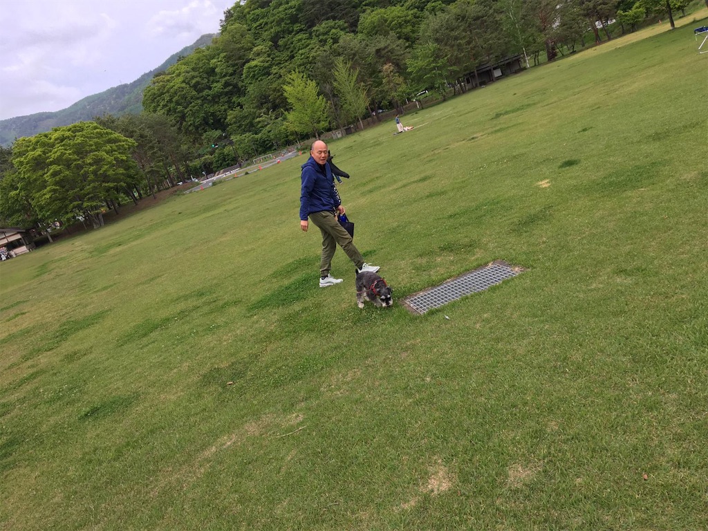 f:id:anezakimanAD:20190529095743j:image