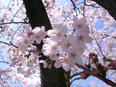 f:id:anfieldroad:20100408113538j:image