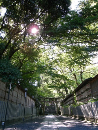 f:id:anfieldroad:20100808152152j:image