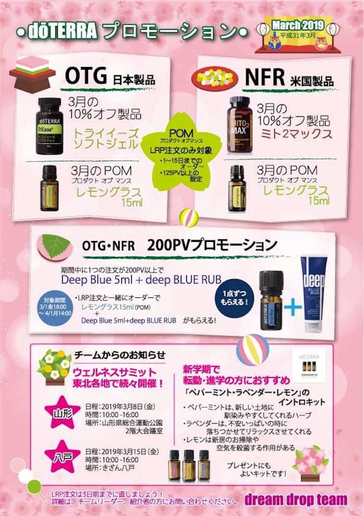 f:id:angelicaaroma:20190306091445j:plain