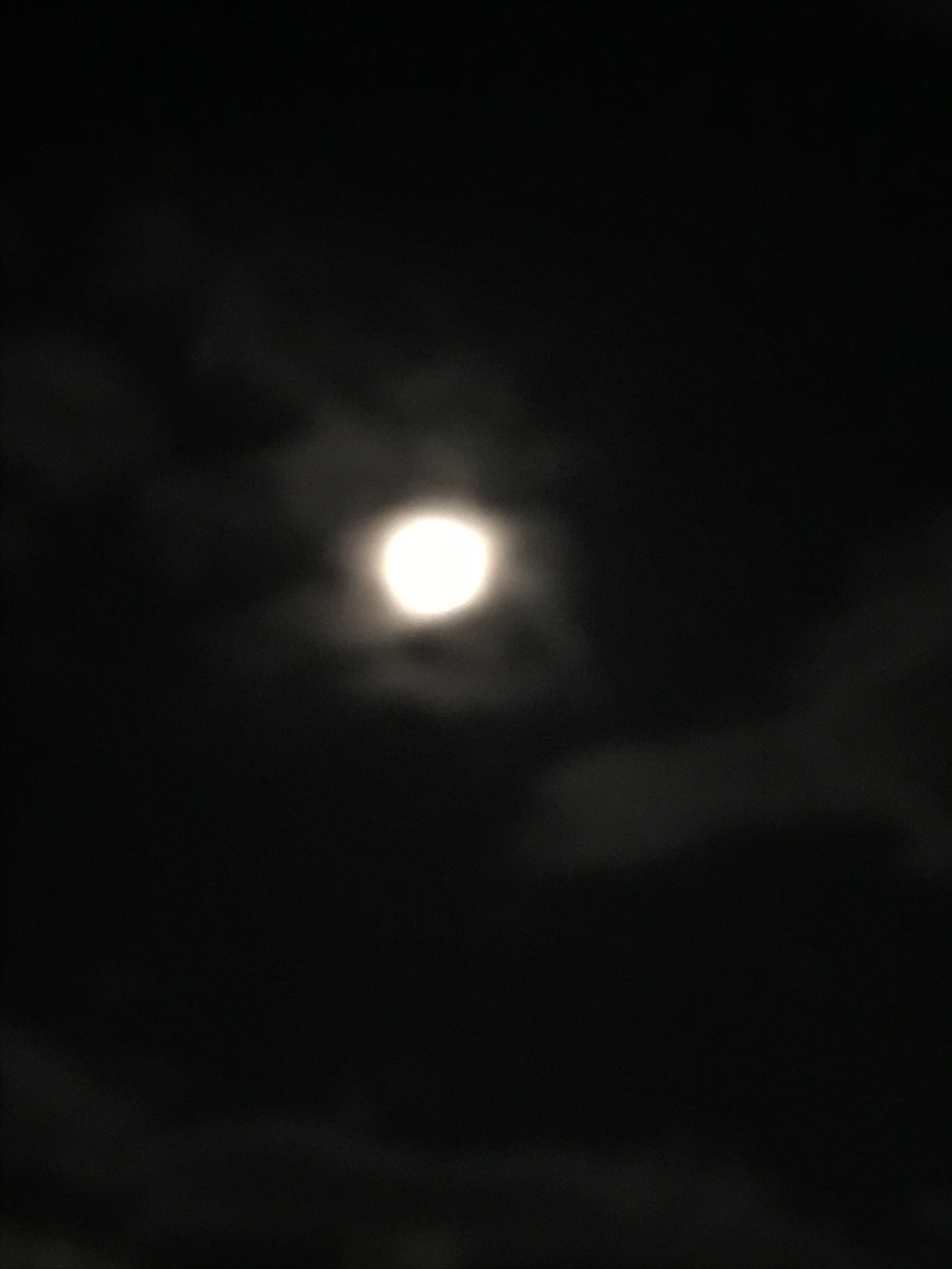 f:id:angelicaforsoul:20190815115716j:plain f:id:angelicaforsoul:20190815115716j:plain