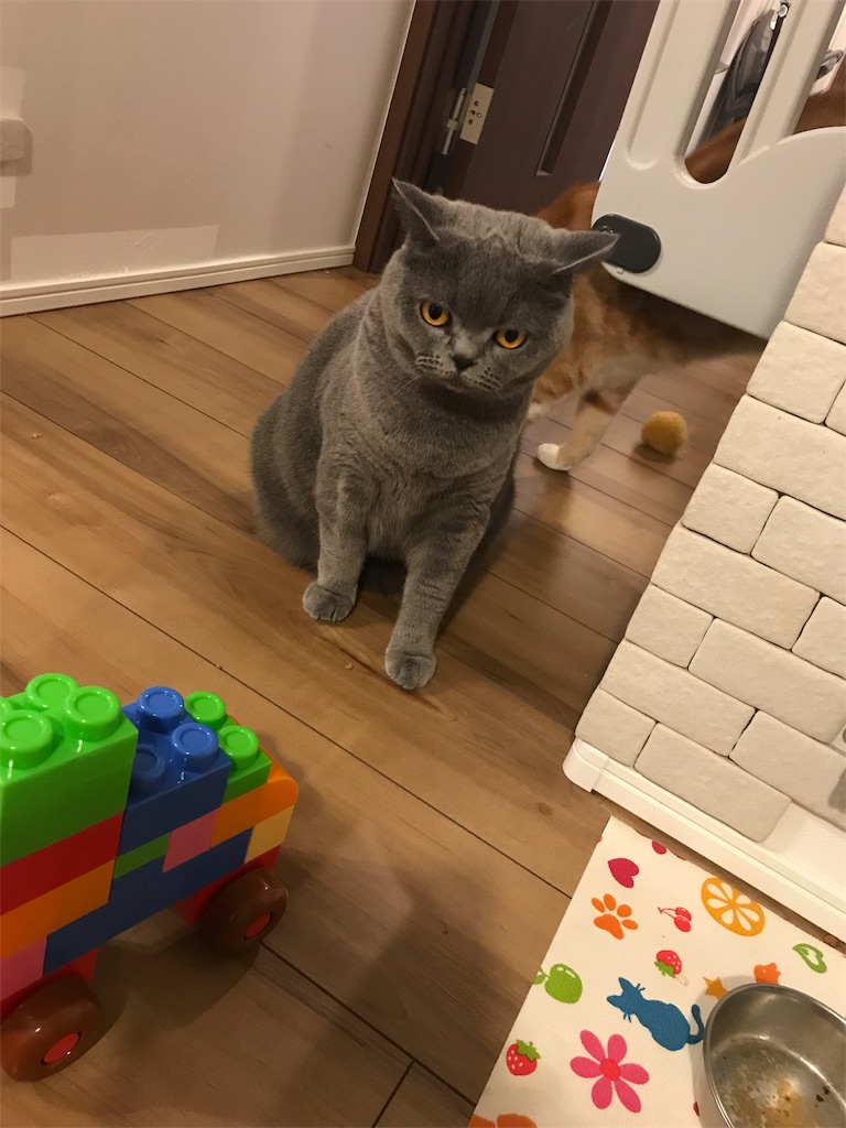 f:id:angelnorth0606:20190908192301j:image