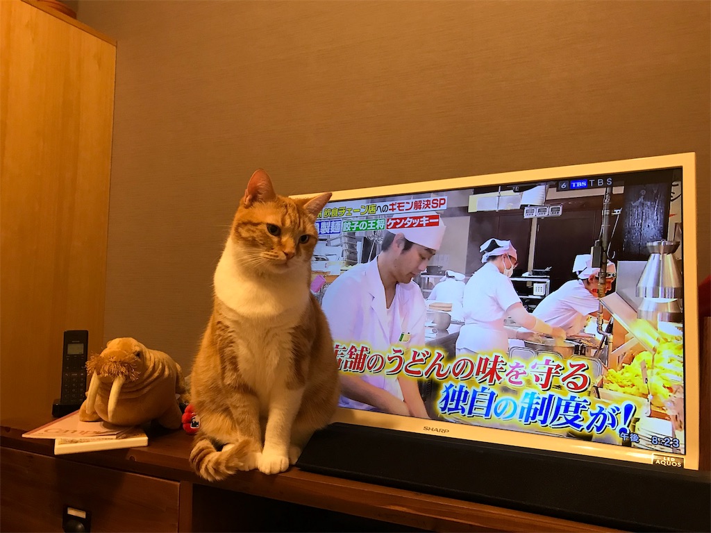 f:id:angelnorth0606:20190914202849j:image