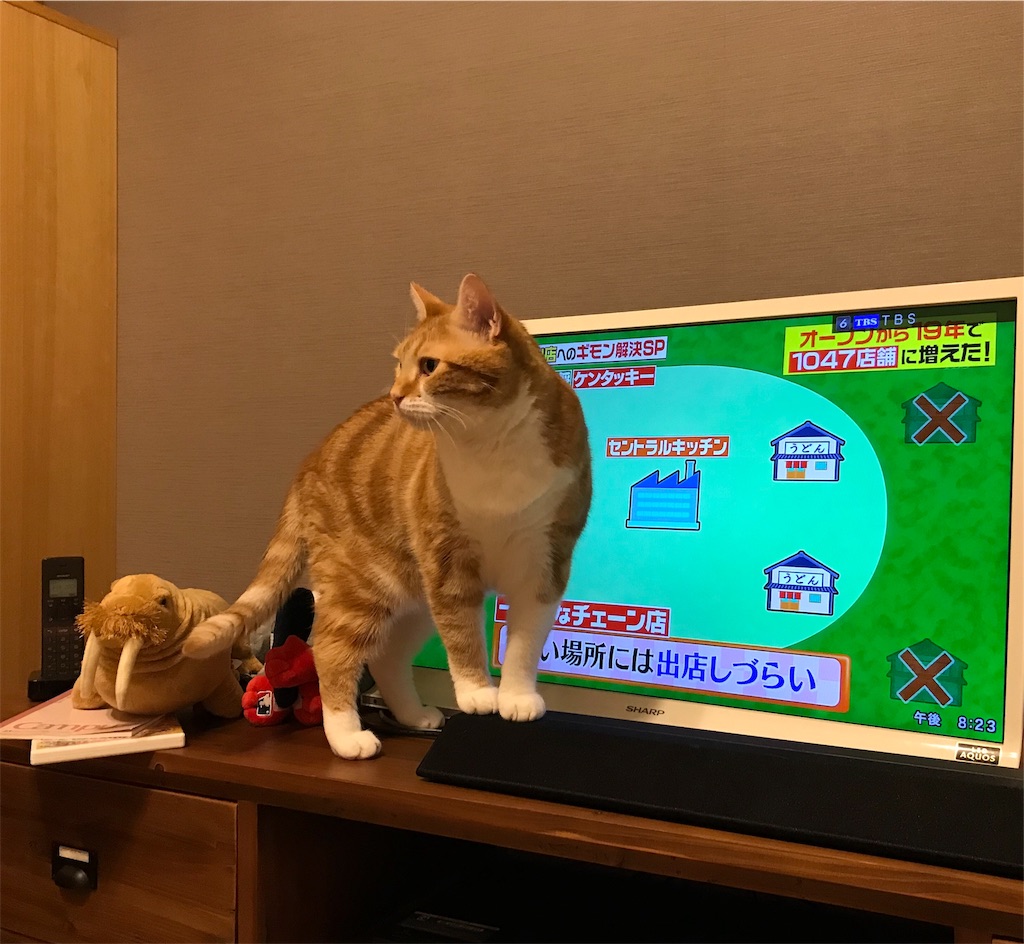 f:id:angelnorth0606:20190914202856j:image