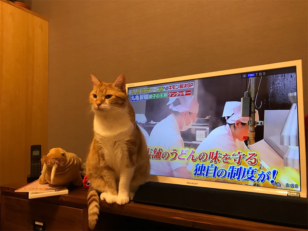 f:id:angelnorth0606:20190914202900j:image