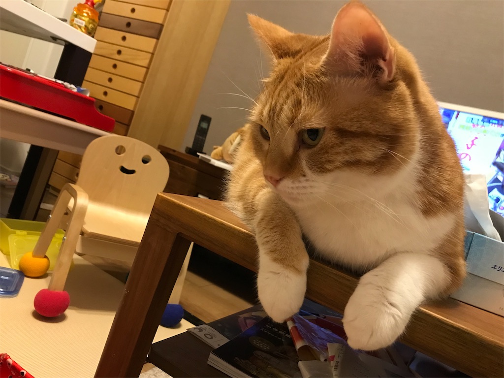 f:id:angelnorth0606:20190914202951j:image