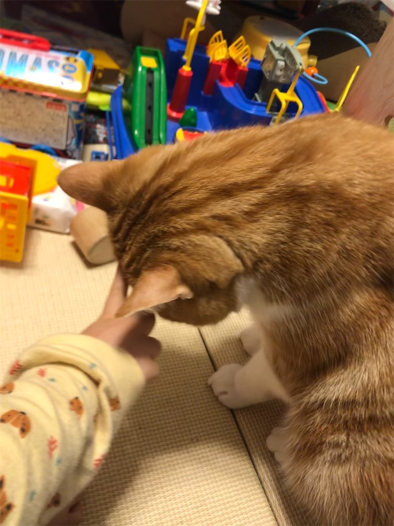 f:id:angelnorth0606:20201211121306j:image