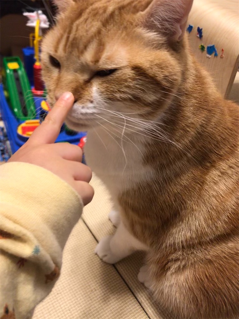 f:id:angelnorth0606:20201211121311j:image