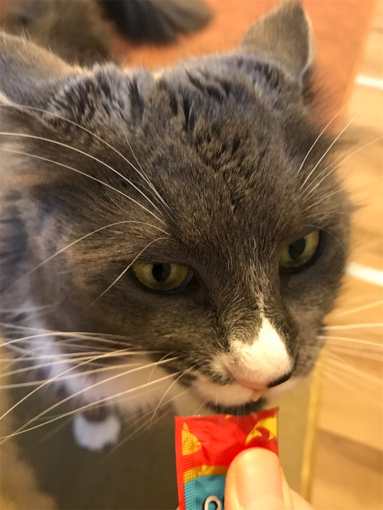 f:id:angelnorth0606:20210110180700j:plain