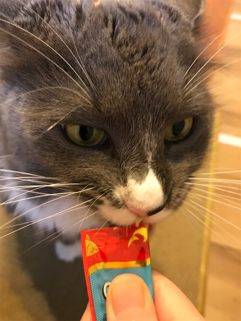 f:id:angelnorth0606:20210110180703j:plain