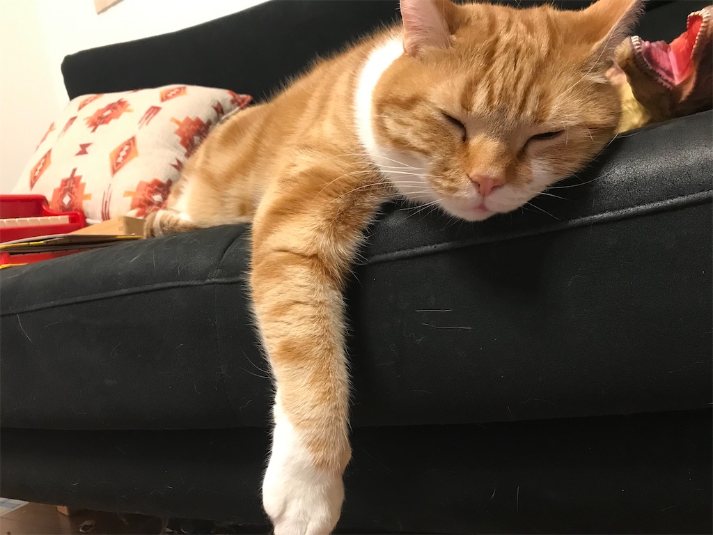 f:id:angelnorth0606:20210110181204j:plain