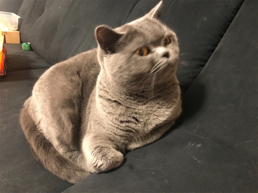 f:id:angelnorth0606:20210119075003j:plain