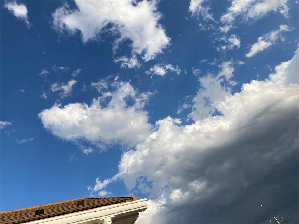 f:id:angelnorth0606:20210203075952j:plain