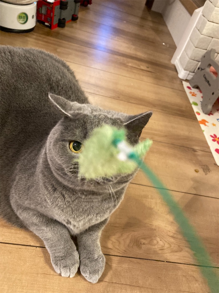 f:id:angelnorth0606:20210205075906j:plain